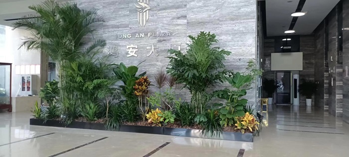 厂区植物种植