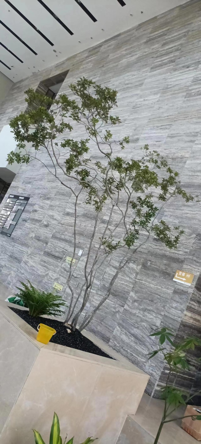 厂区植物种植